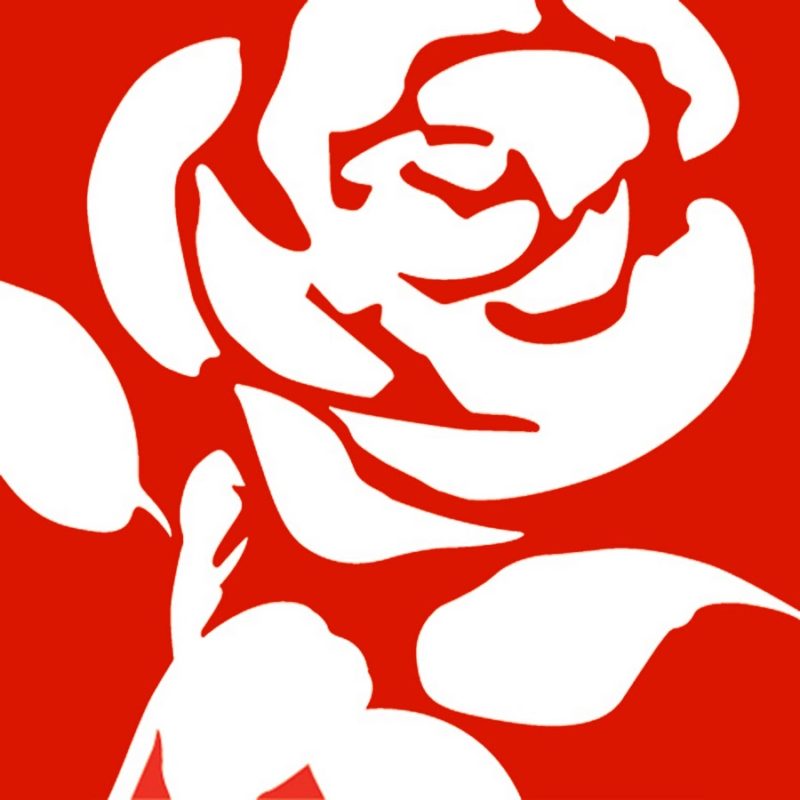Labour logo white rose on red background